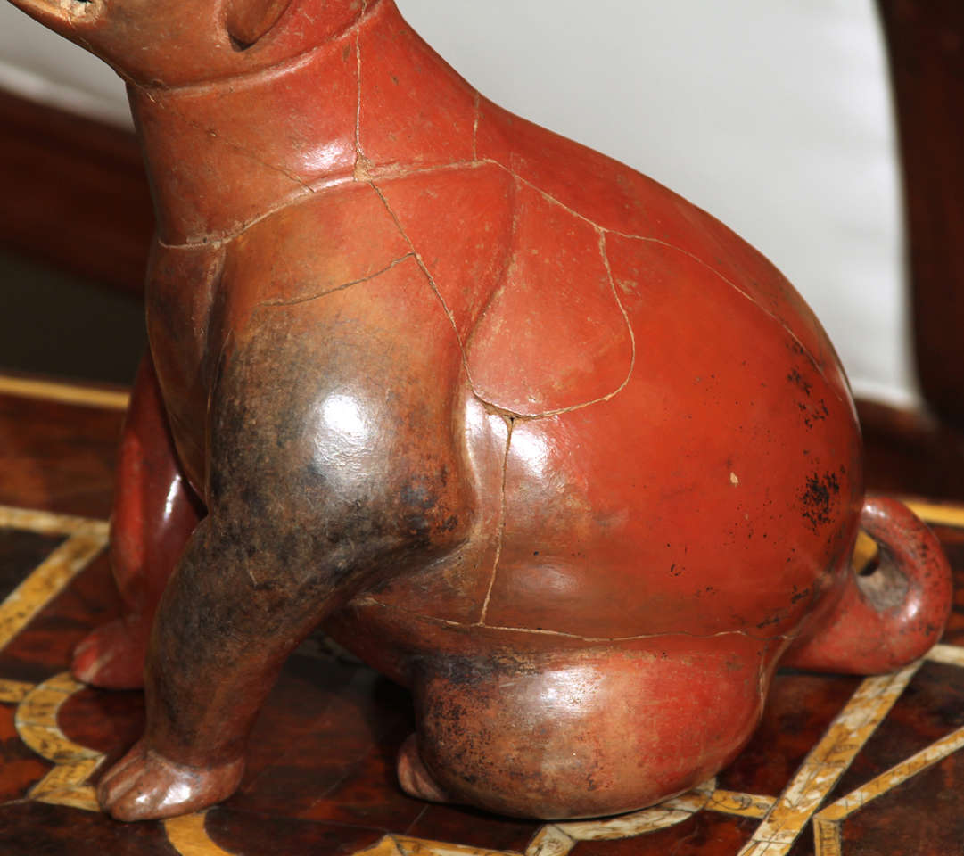 Unknown Pre-Columbian Style Dog