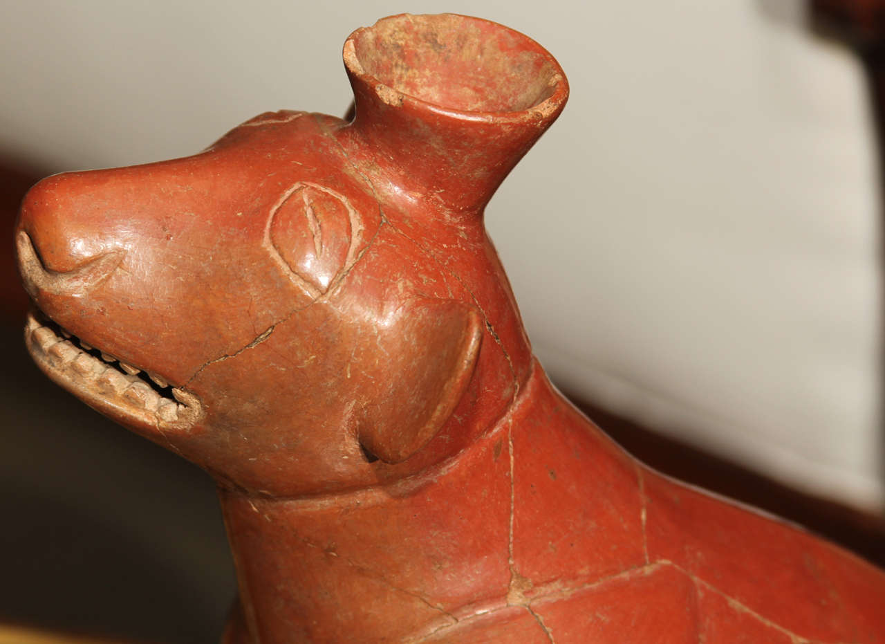 Pre-Columbian Style Dog In Distressed Condition In Seattle, WA
