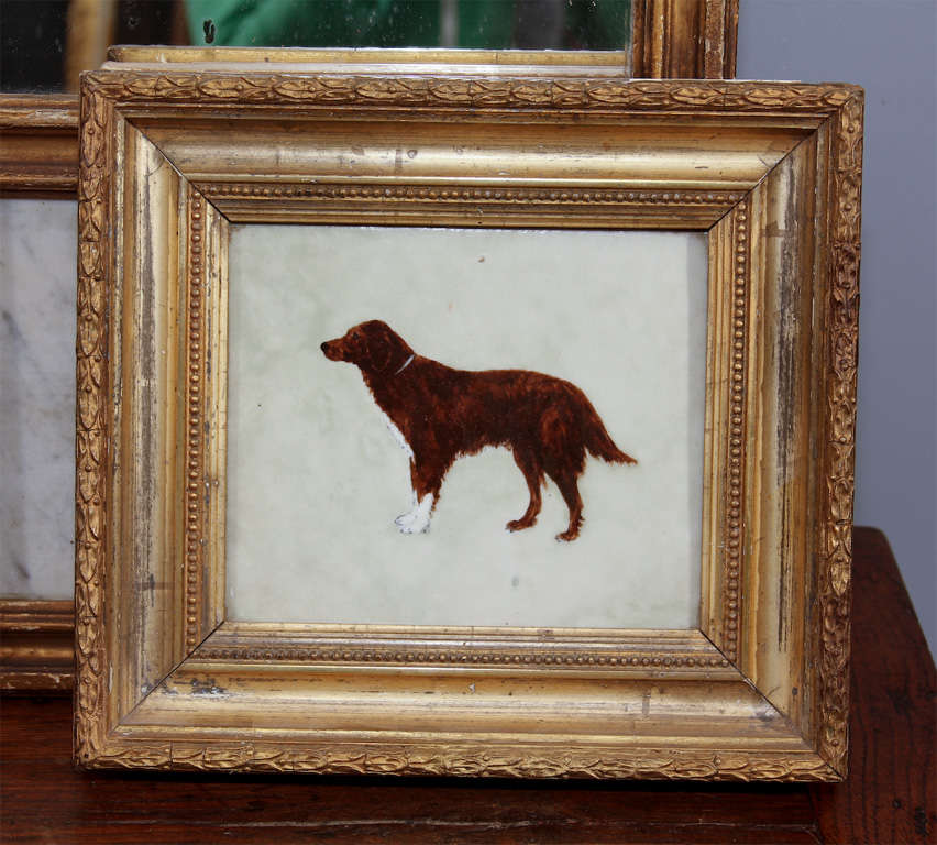 beautiful portrait of dog on porcelain tile in gilt frame