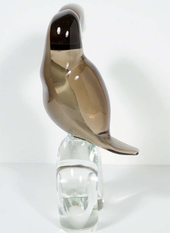 Stunning Hand Blown Glass Toucan by Licio Zanetti In Excellent Condition In New York, NY