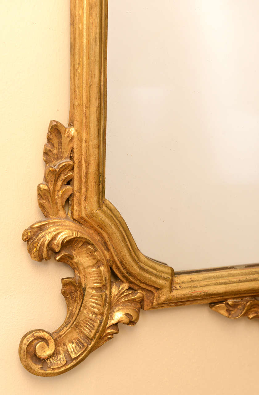 Hand-Carved Pair of Narrow Italian Giltwood Mirrors