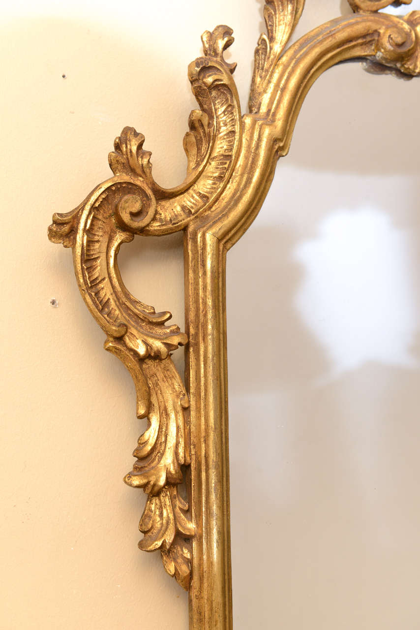 20th Century Pair of Narrow Italian Giltwood Mirrors