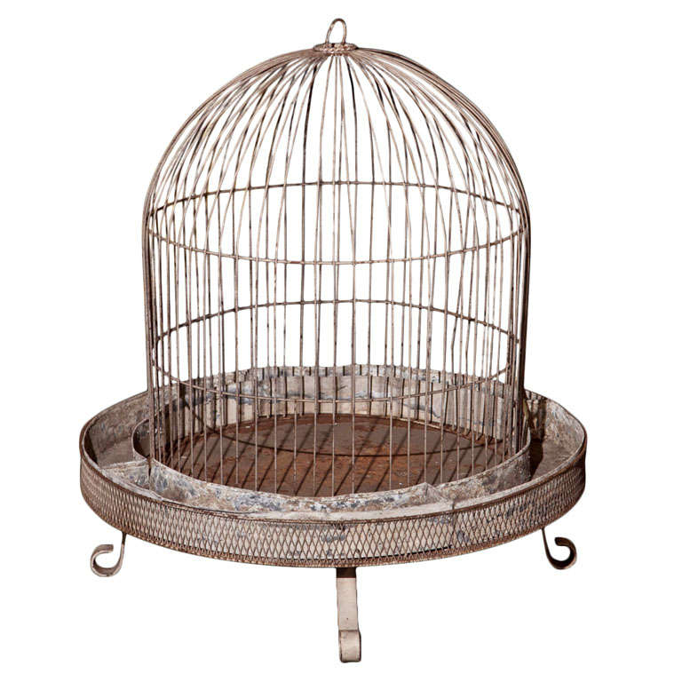 French Bird Cage