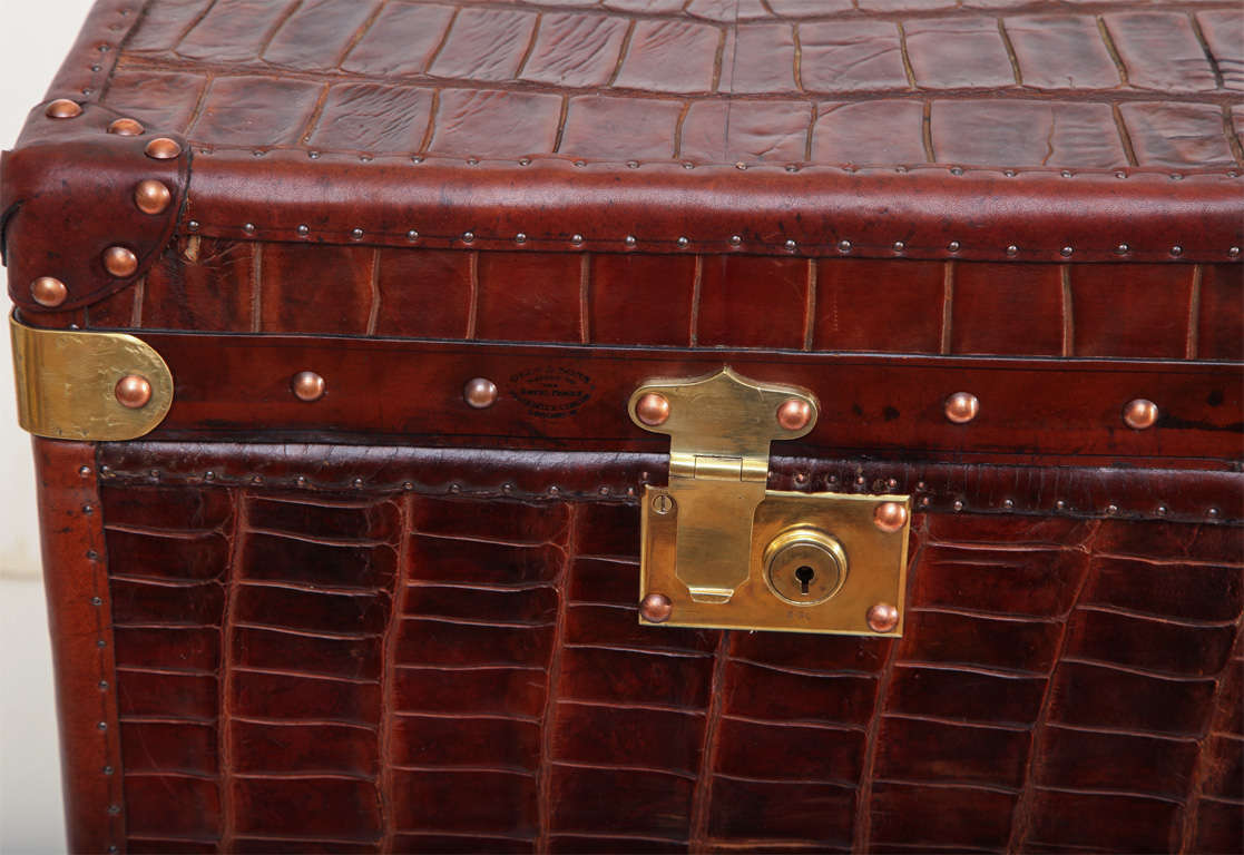 Contemporary Large Crocodile Trunk with Brass Fittings