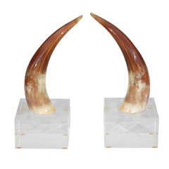 Authentic Longhorns on Lucite Base