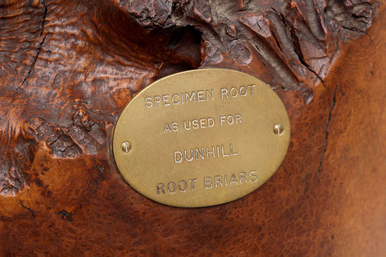 Mid-20th Century Dunhill Root Briars Wood Specimen