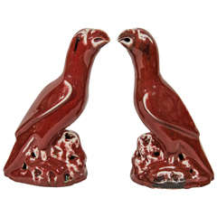 Antique Chinese Parrots with Sang De Boeuf Glaze Made in the18th Century  