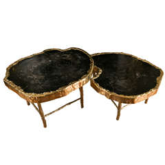 Fabulous Pair of Petrified Wood Coffee Tables