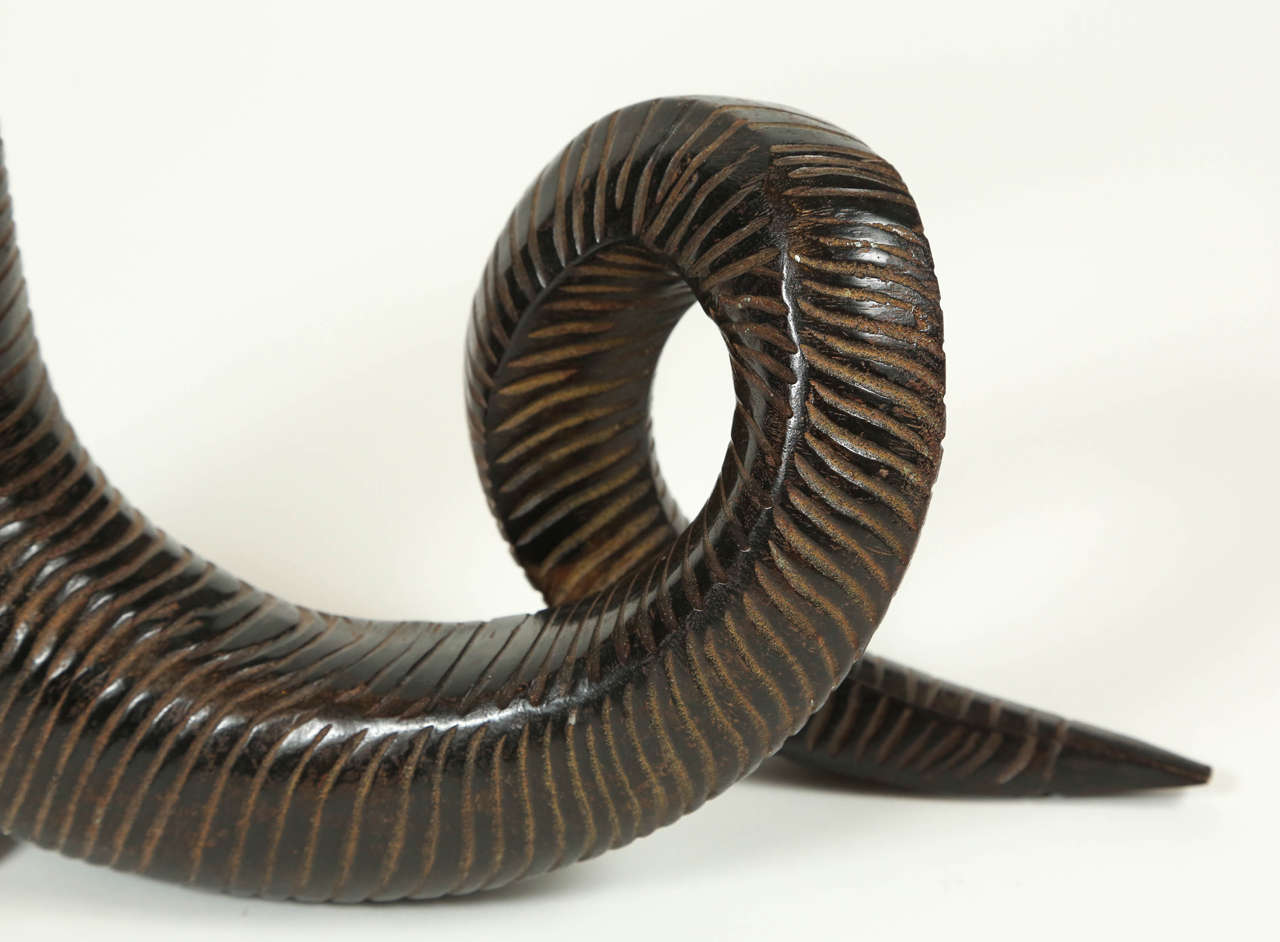 20th Century Pair of Horn Shaped Candle Holders