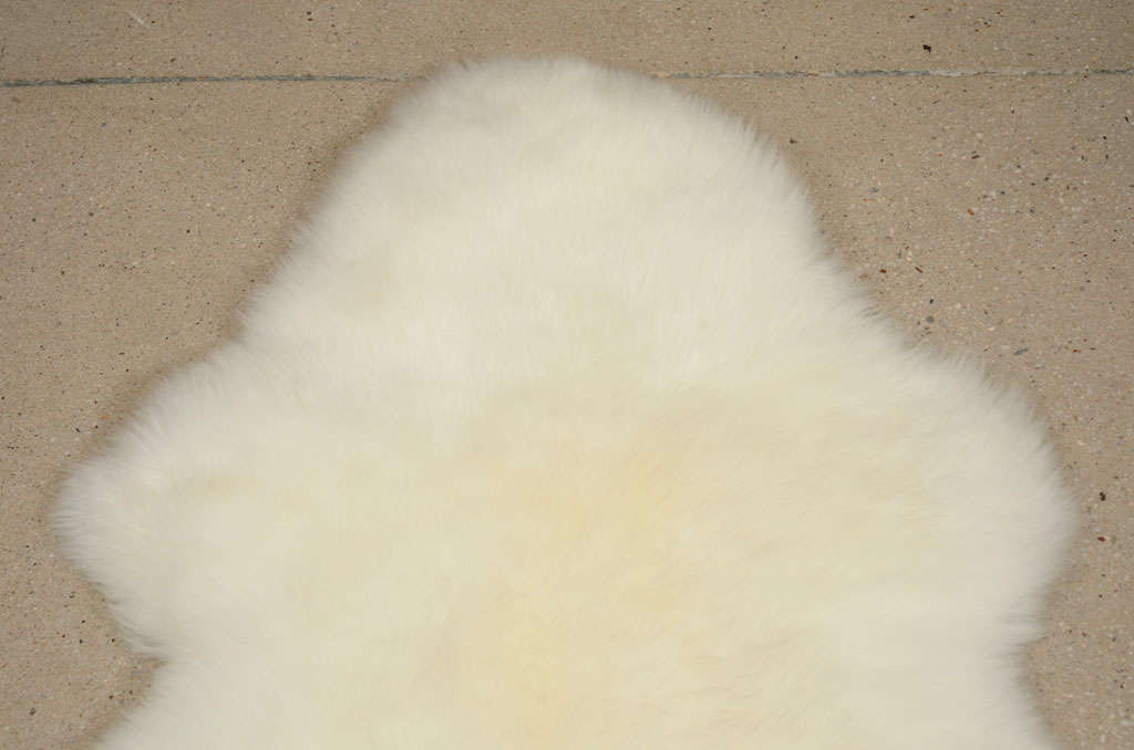 Ivory Sheepskin Rug For Sale at 1stdibs