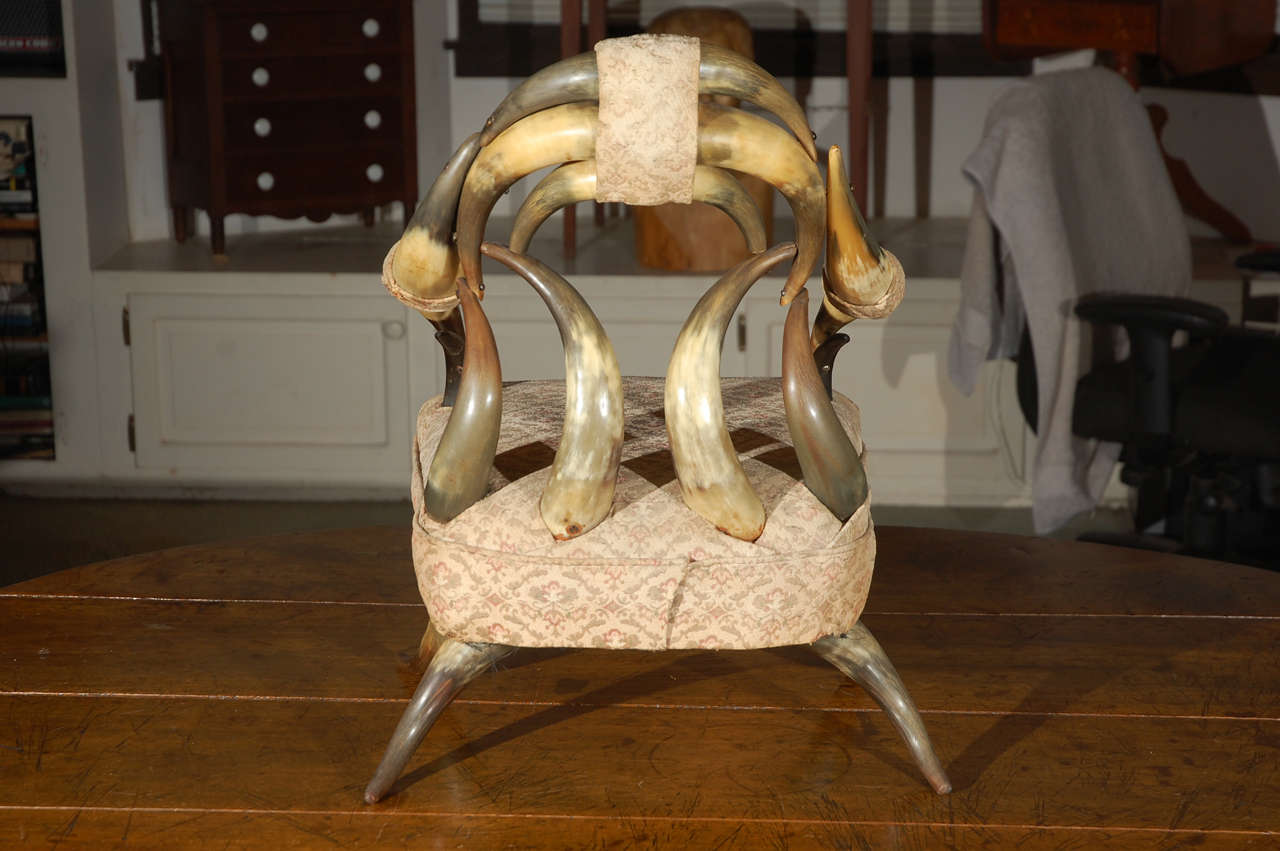 C. 1900 CHILD'S 20 HORN CHAIR For Sale 1