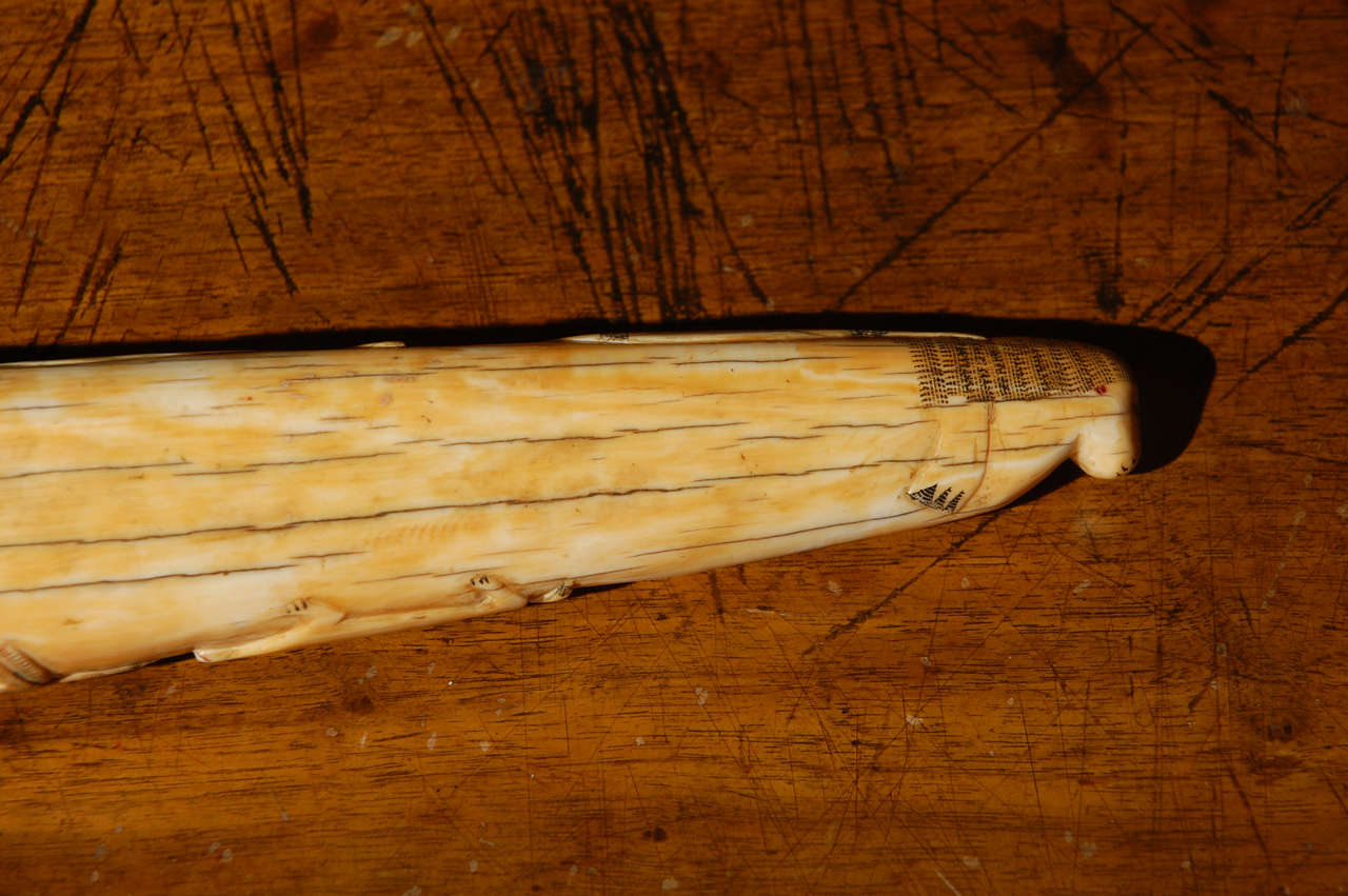 C. 1890 Walrus Ivory Carved Scrimshaw Tusk In Good Condition For Sale In Los Angeles, CA