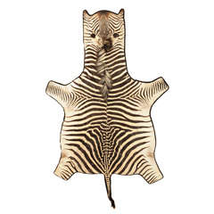 A felt backed Burchell Zebra Hide