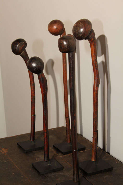 20th Century Collection of African Masai War Clubs