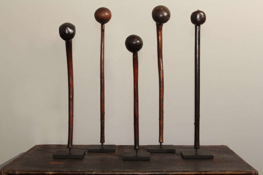 A collection of five African carved hardwood war clubs from the Masai tribal group of Eastern Africa. The short round handles ending in a bulbous head, the surfaces with rich patina from handling. Each mounted on a custom metal stand.<br />
Clubs: