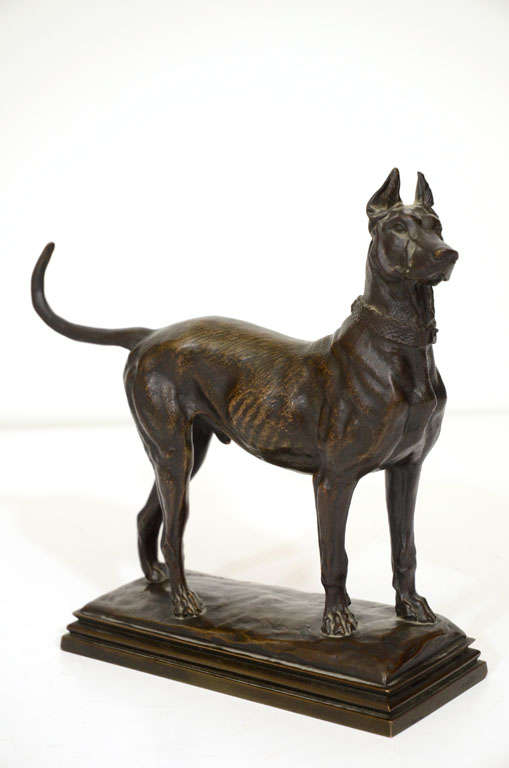 19 C "Barye" Bronze of a Dog