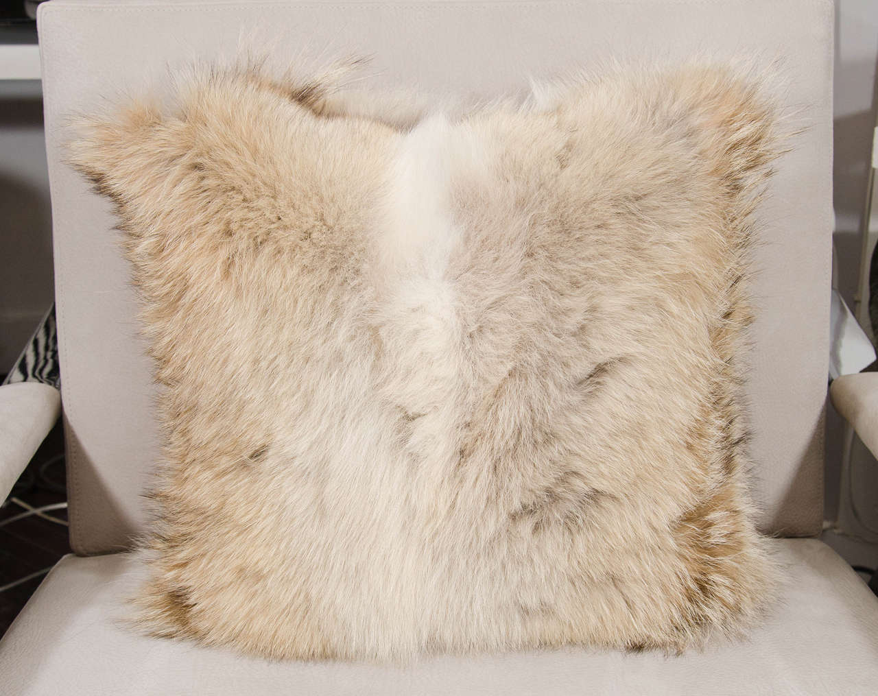 Double-sided coyote pillow.