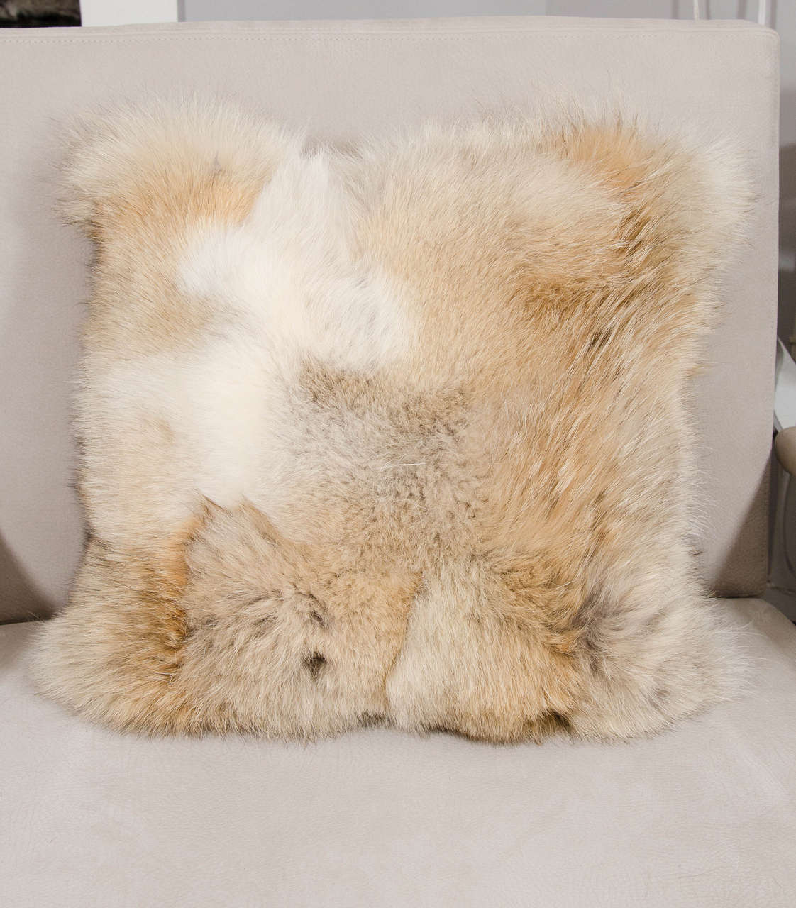 Custom Double-Sided Coyote Pillow 1