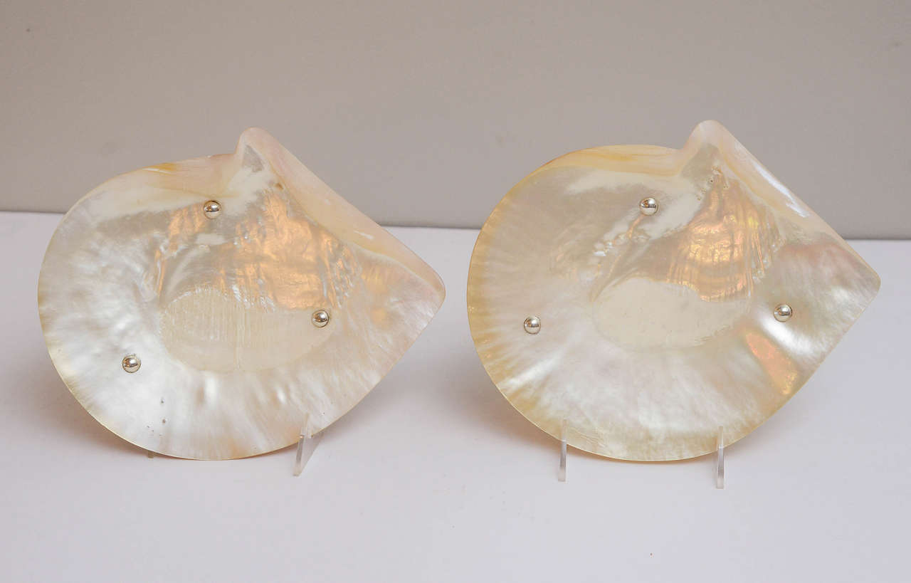 Large Pair of English Shell Caviar Dishes with Silver plate fittings, Circa 1920