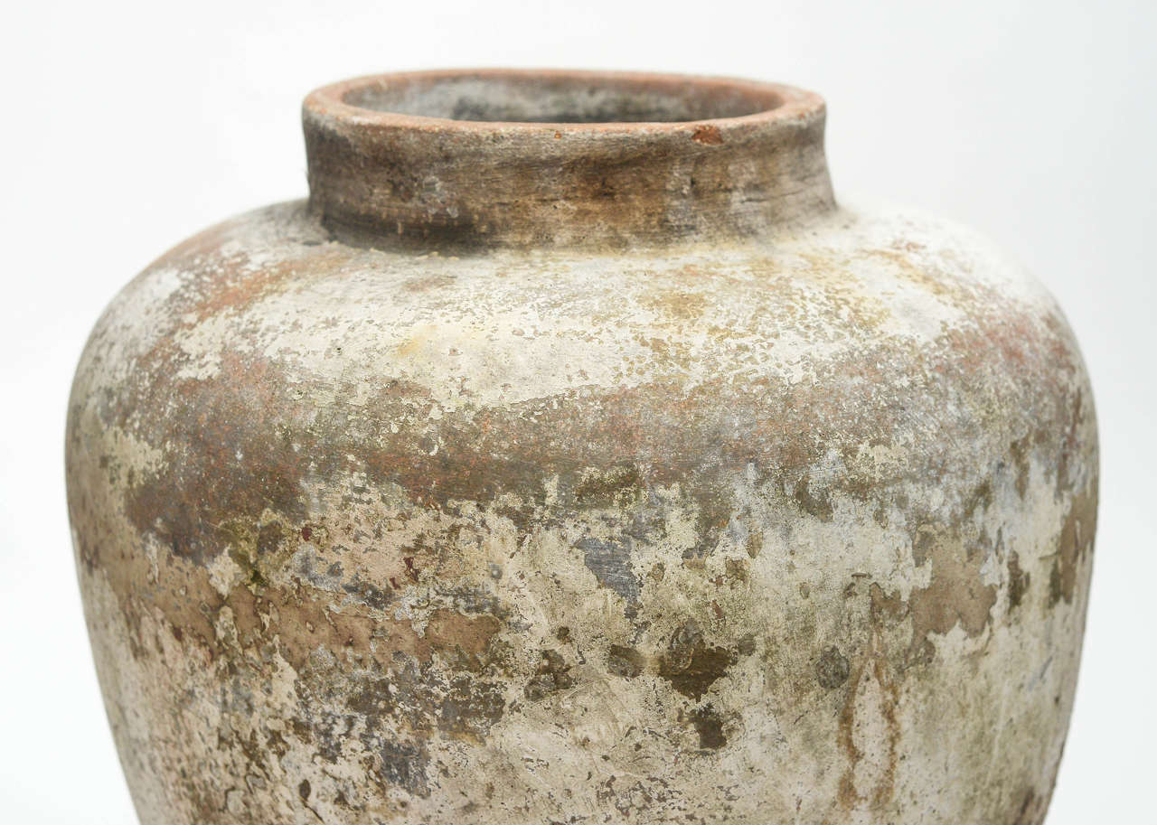 Over Scaled Rustic Italian Pot In Good Condition In Chicago, IL