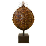 A Custom Tortoise Shell Lamp by Dragonette Ltd.