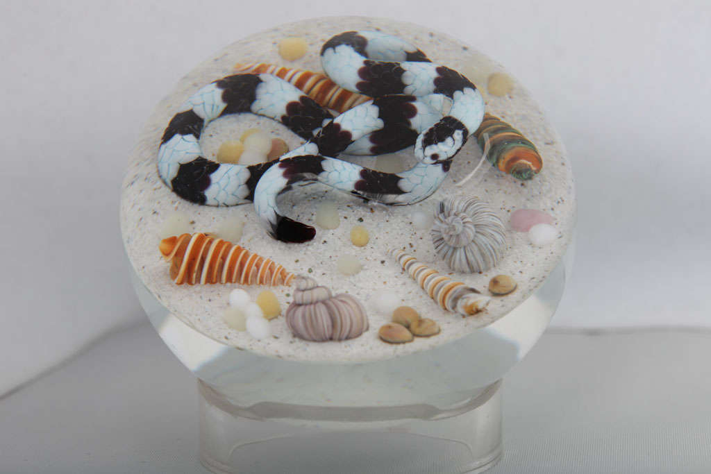 A fine Gordon Smith Banded Sea snake paperweight on sandy ground with sea shells, signed GS 99-29