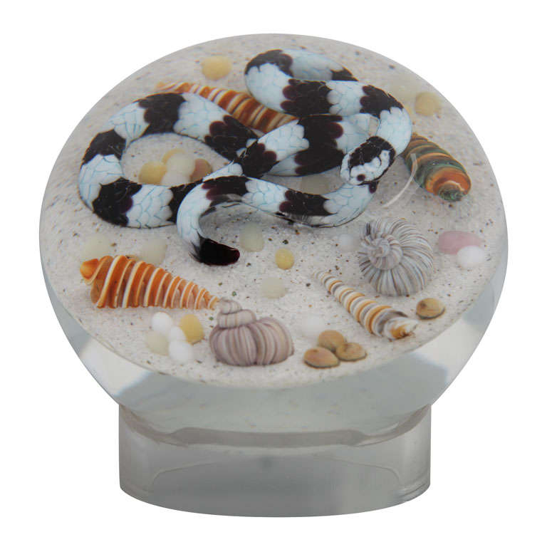 Gordon Smith Banded Sea Snake Paperweight