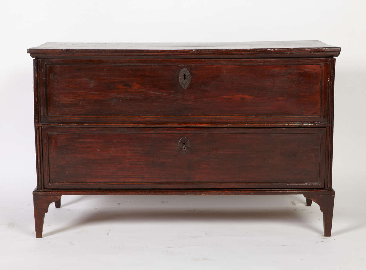 19th Century Italian Natural Wood Lacquered Cupboard