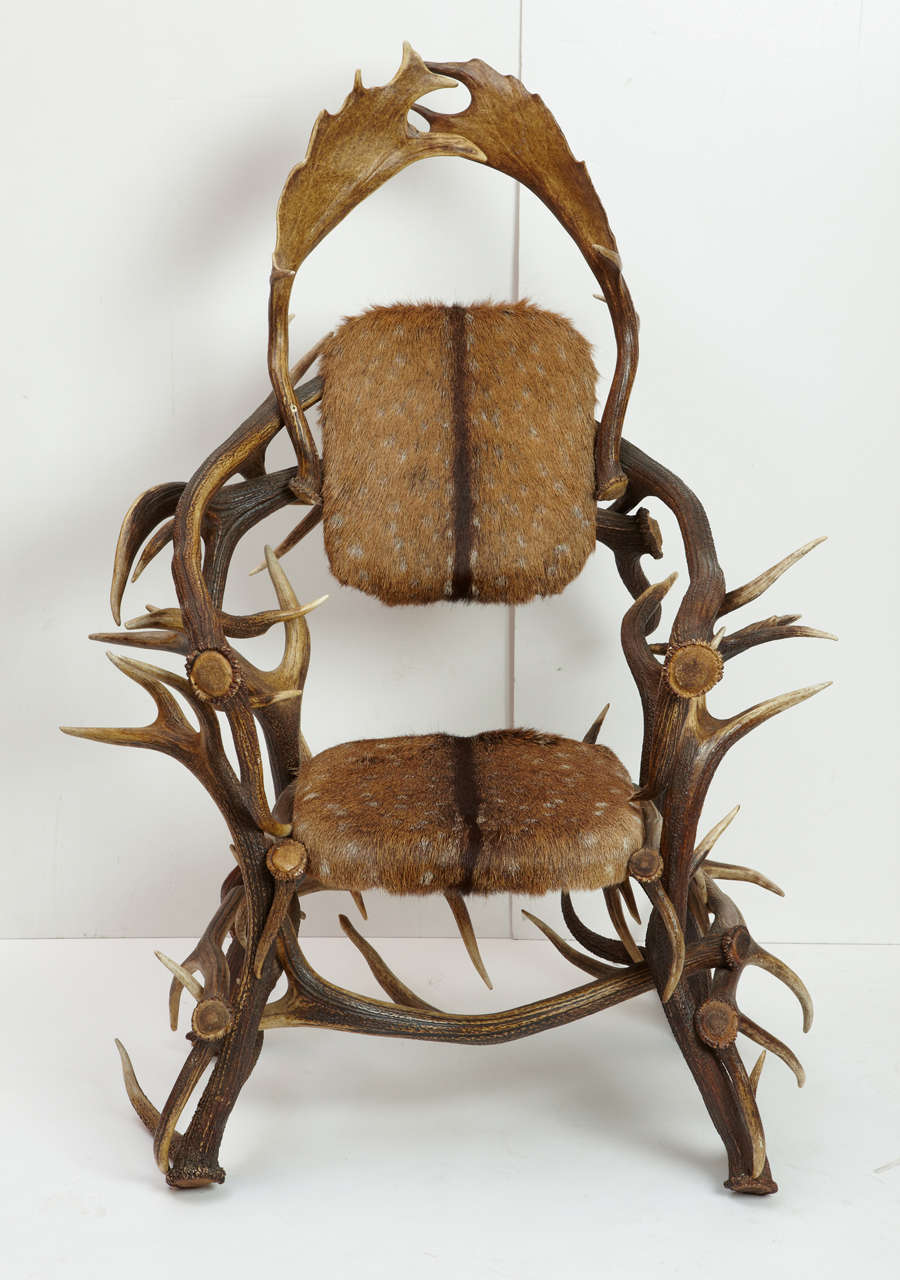 20th century horn armchair
A beautiful horn armchair, with antler back, wide horn arms.
The seat and back are original and they're made of deer fur.