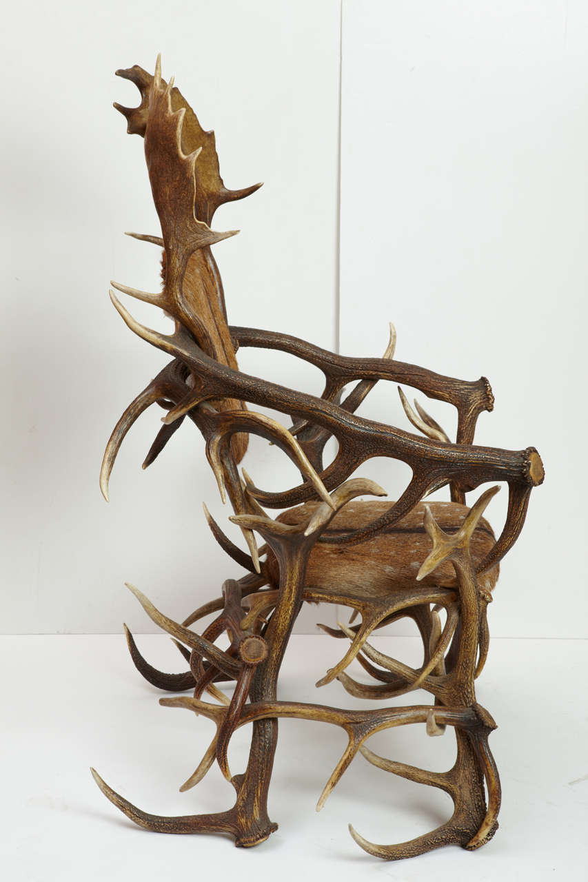 20th Century Deer Fur Horn German Armchair, 1905 In Good Condition For Sale In Milan, IT
