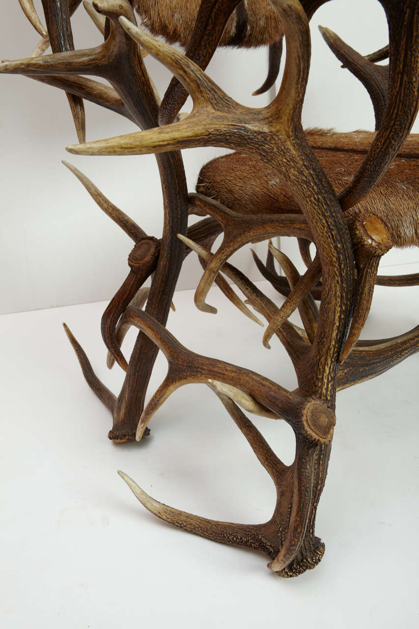 20th Century Deer Fur Horn German Armchair, 1905 For Sale 4