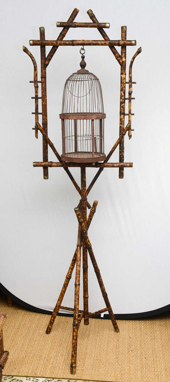 Very unusual English bamboo cage sitting on a bamboo tripod.