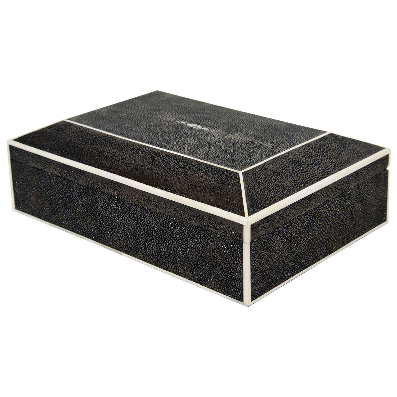 Genuine shagreen box in black with white bone trim, handcrafted wood interior, and brass hardware.