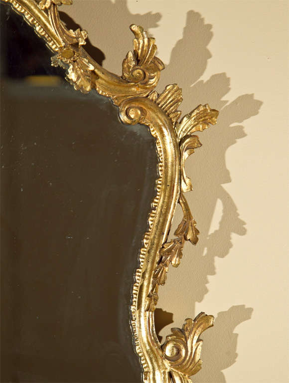 Italian Rococo Giltwood Mirror In Excellent Condition In Stamford, CT