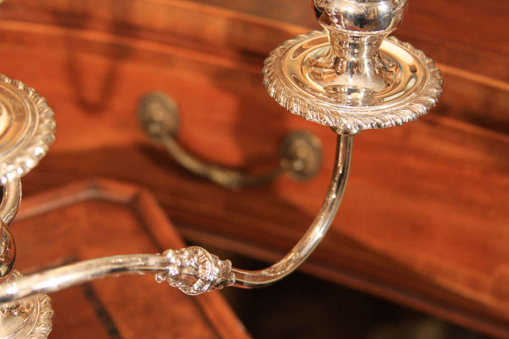Pair of Silver Three Light Candelabra For Sale 3