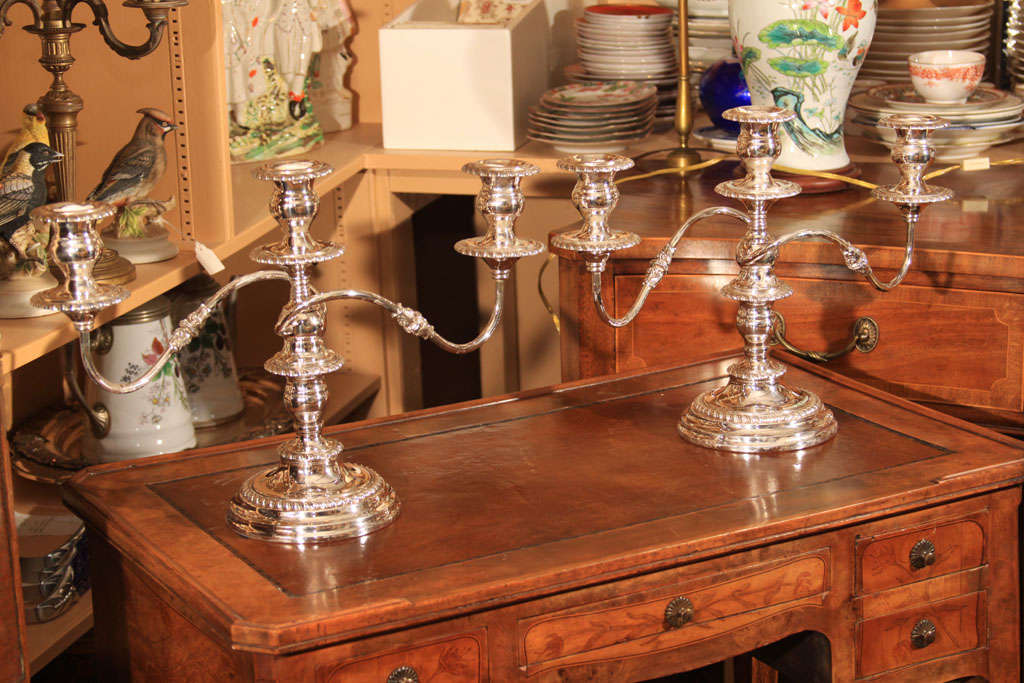 Pair of Silver Plate Three Light Candelabra

OFFERED AT THIS 50% OFF PRICE FOR A LIMITED TIME!

