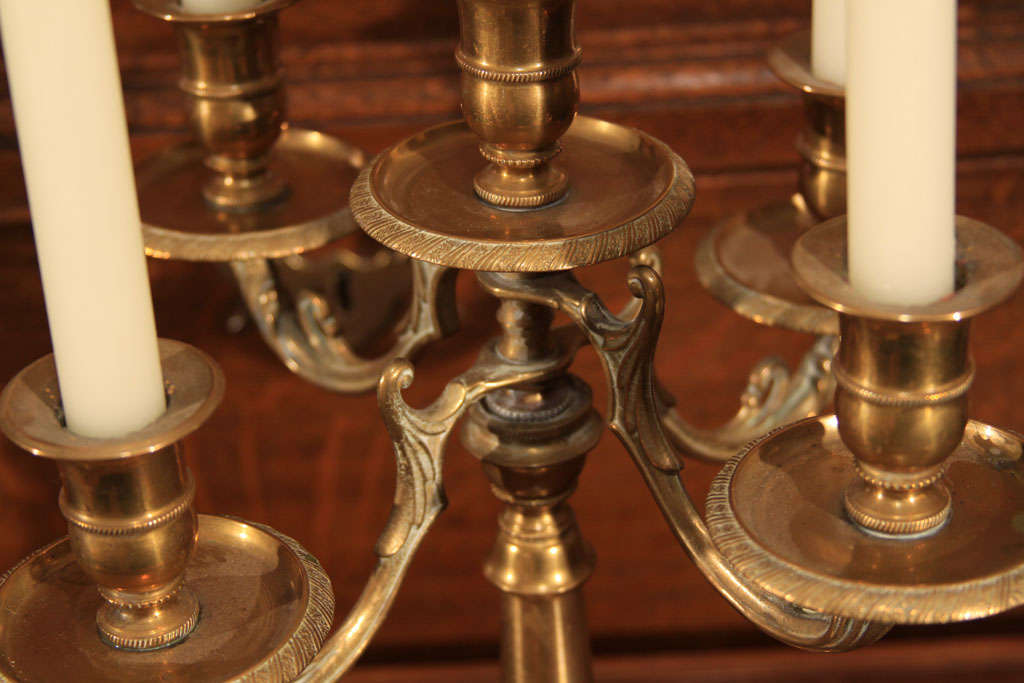 English Brass 5 light candelabra