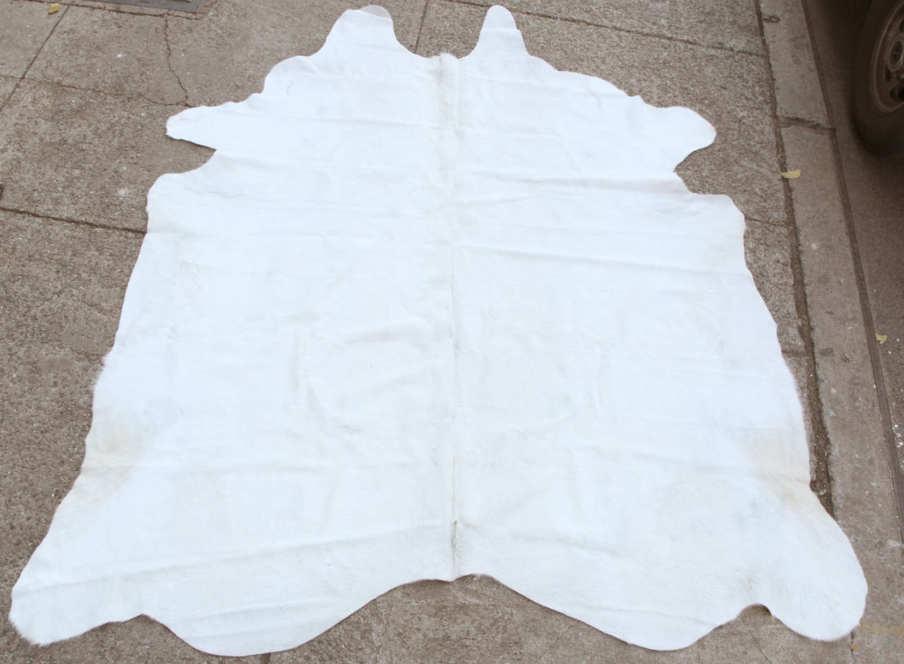 Large white cow hide. Sizes do vary.
This hide is sold, but we have others.