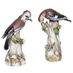Fine Pair of Antique Meissen Porcelain Figures of Birds