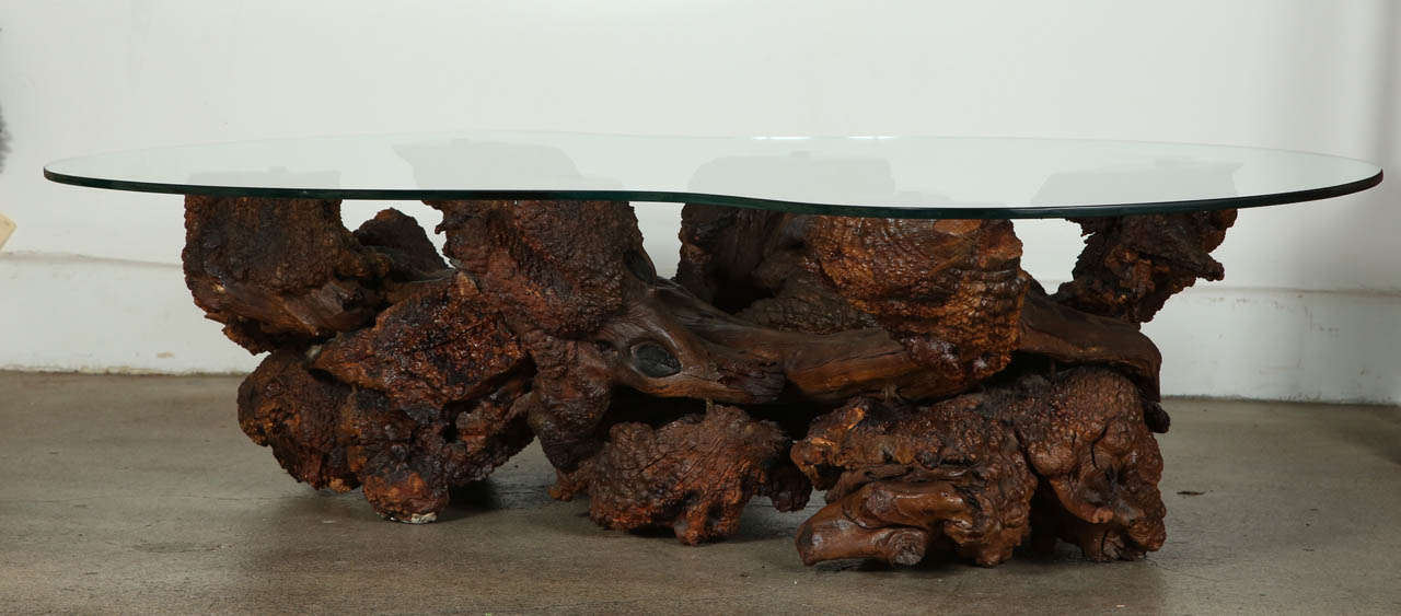 Spectacular Large sculptural driftwood burl large root table-base with dramatic irregular shape and a free form glass top.
Constructed of twisted sculptural burl root wood, the burl root pieces are expertly and seamlessly joined together.
This is