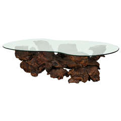 Spectacular Sculptural Large Burl Driftwood Coffee Table