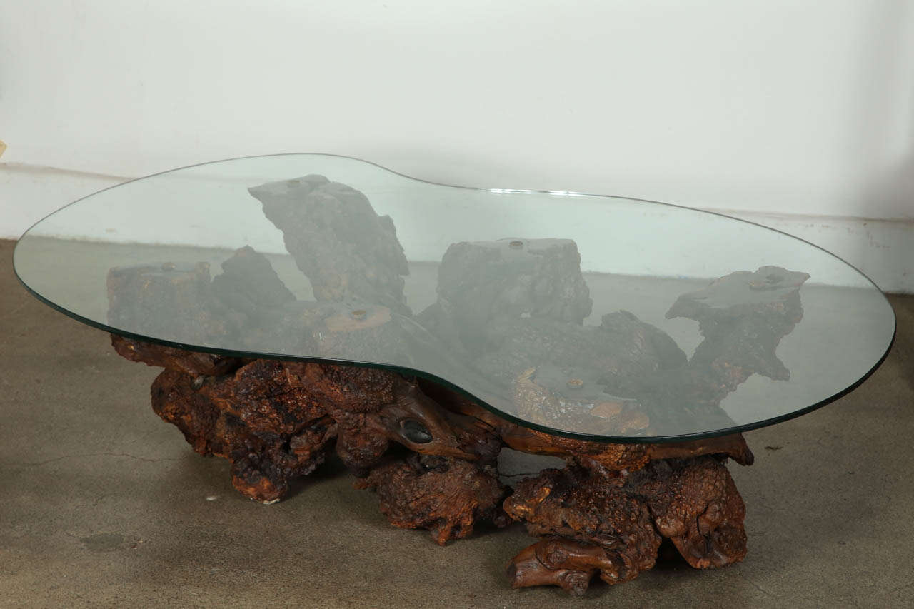 Spectacular Sculptural Large Burl Driftwood Coffee Table at 1stdibs