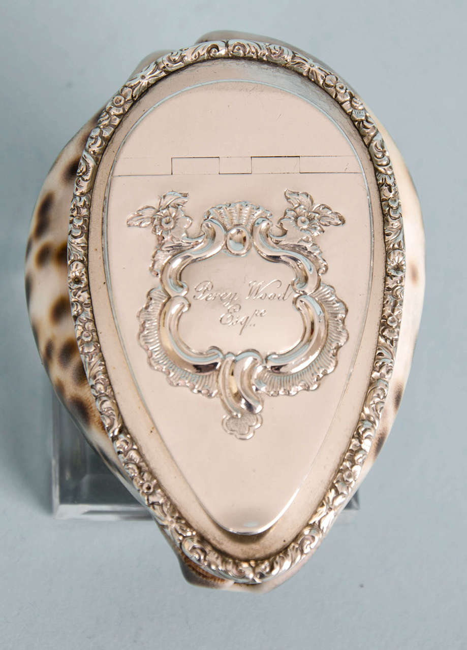 British William IV Silver-Mounted Cowrie Shell Snuffbox, circa 1825 For Sale
