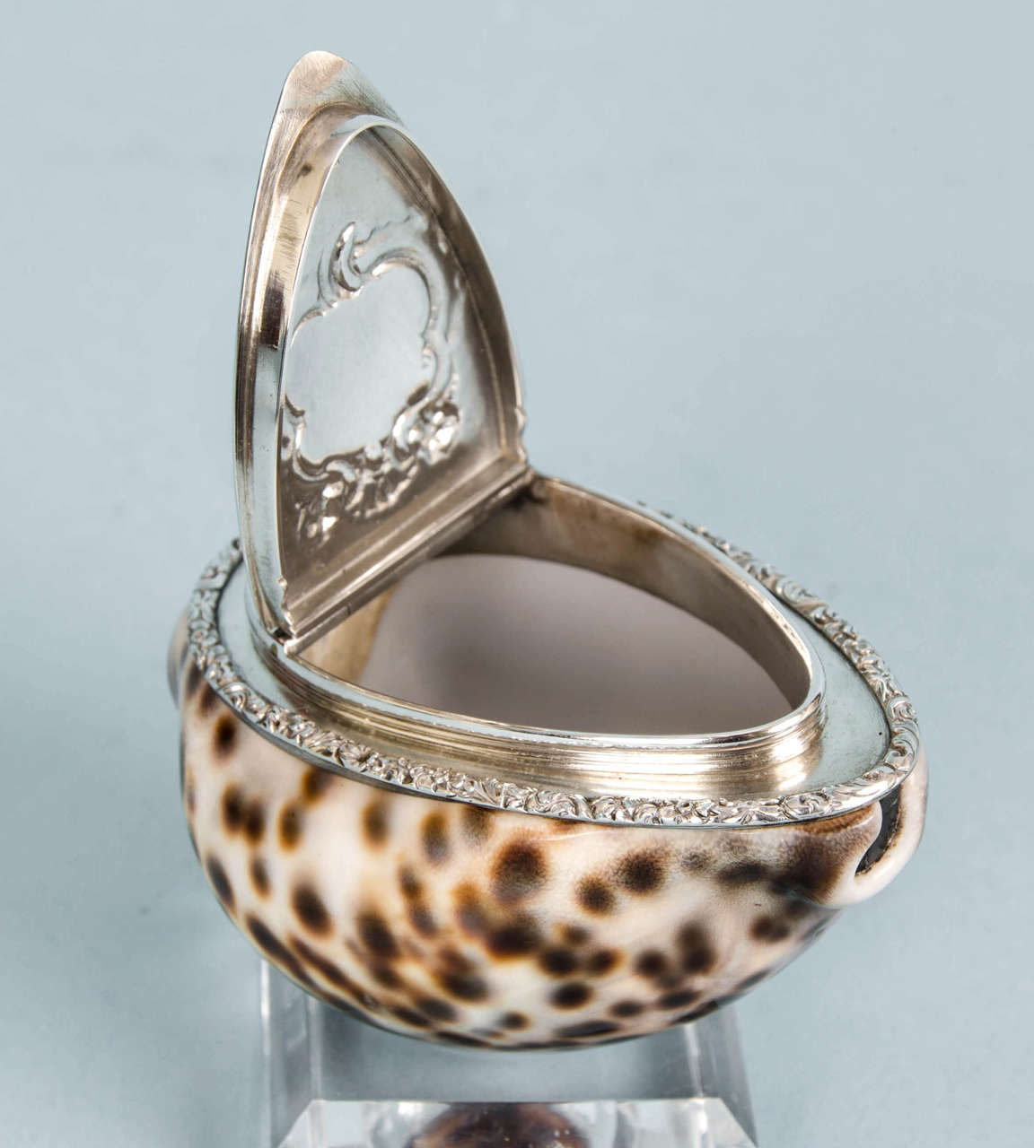 William IV Silver-Mounted Cowrie Shell Snuffbox, circa 1825 For Sale 1