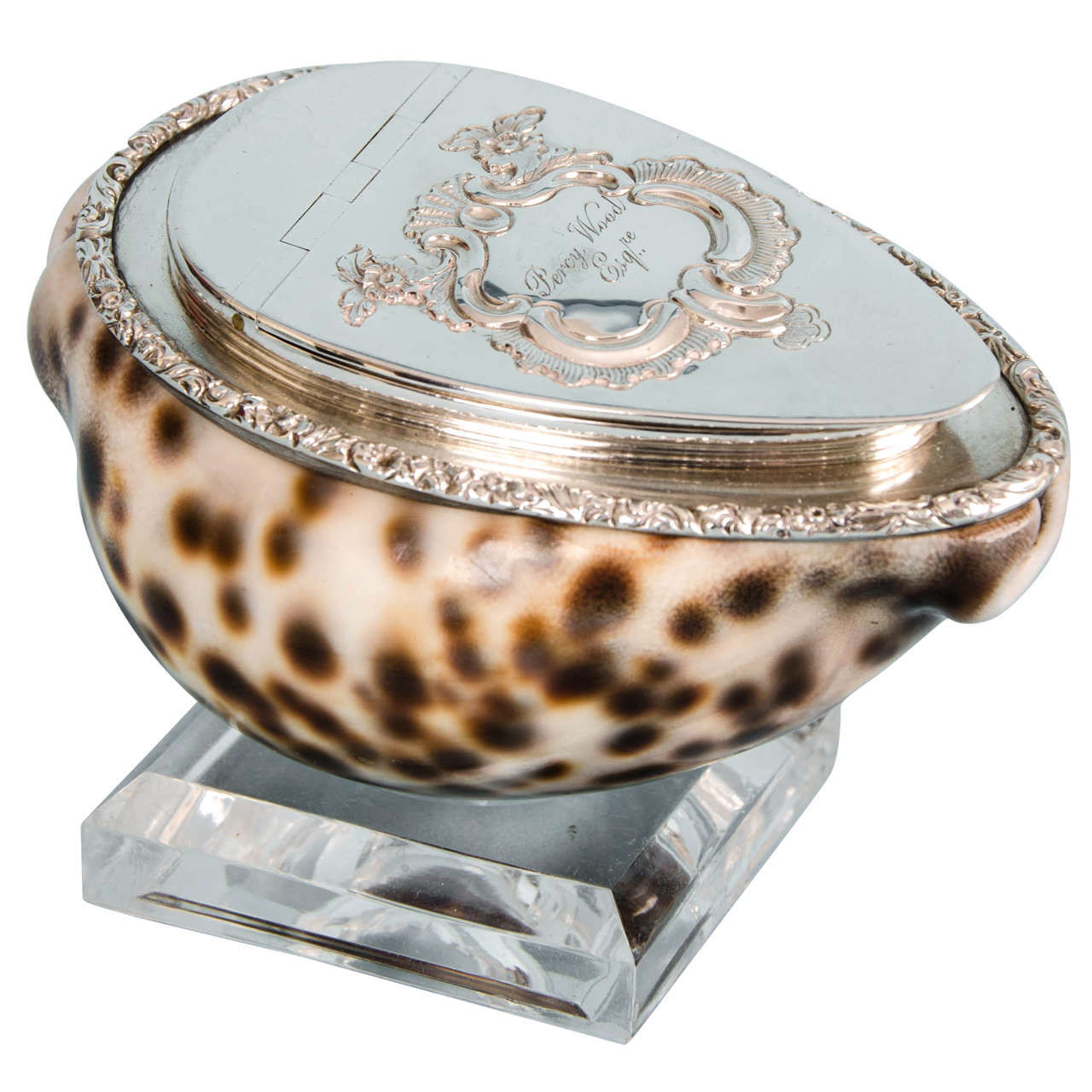 William IV Silver-Mounted Cowrie Shell Snuffbox, circa 1825 For Sale