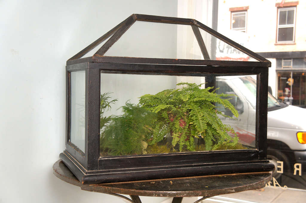 terrarium for sale