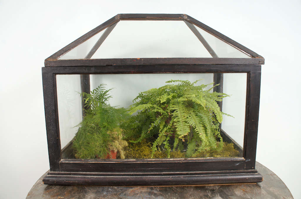 Victorian 19th Century Terrarium For Sale