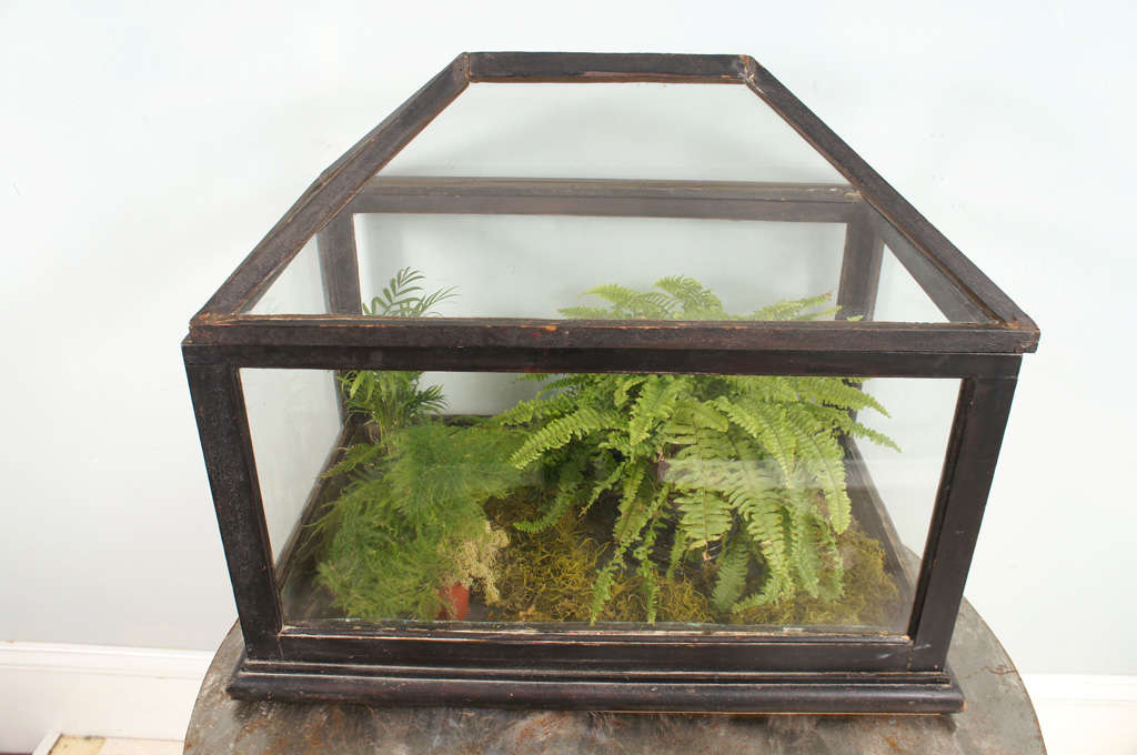 American 19th Century Terrarium For Sale