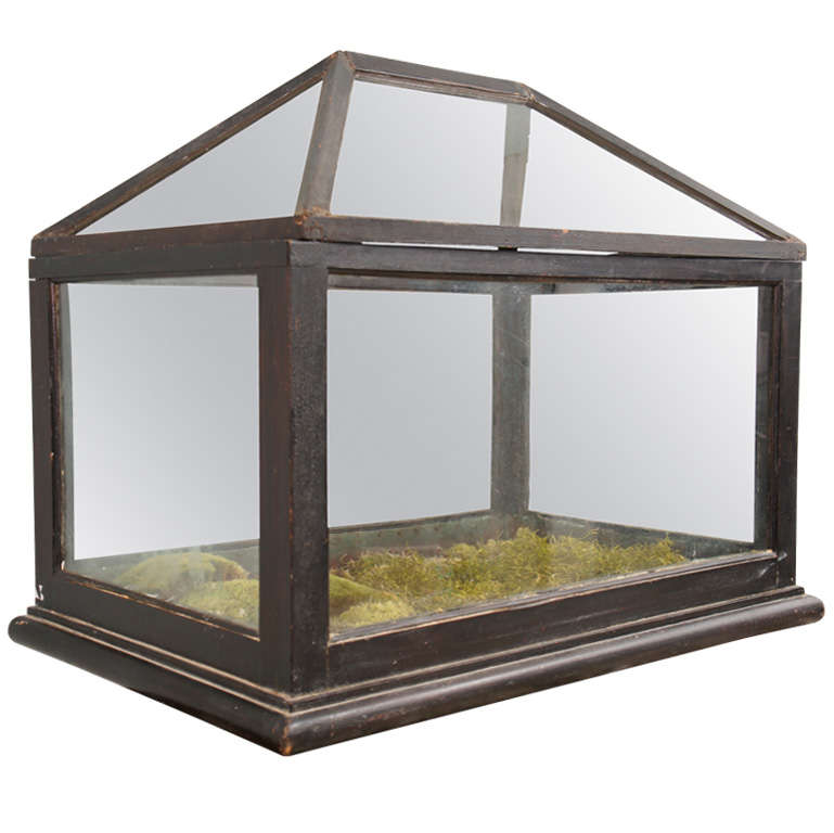 Victorian Mahogany and Glass Terrarium For Sale at 1stDibs