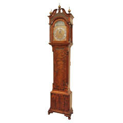 Antique Burl Walnut Continental Tall Case Clock with Silver Face